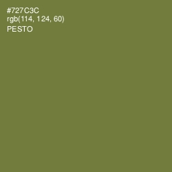 #727C3C - Pesto Color Image