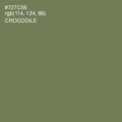 #727C56 - Crocodile Color Image