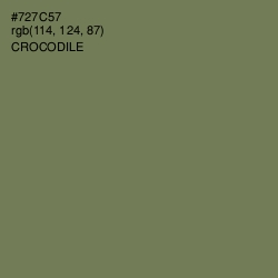 #727C57 - Crocodile Color Image