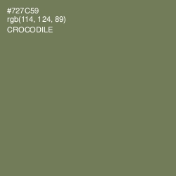 #727C59 - Crocodile Color Image