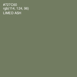 #727C60 - Limed Ash Color Image