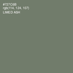 #727C6B - Limed Ash Color Image