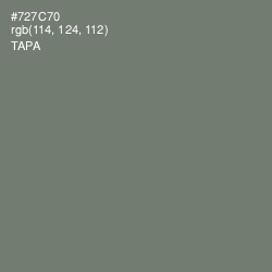 #727C70 - Tapa Color Image