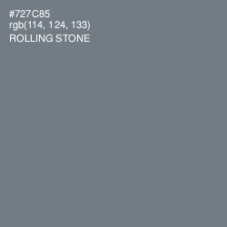 #727C85 - Rolling Stone Color Image