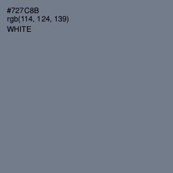 #727C8B - Raven Color Image