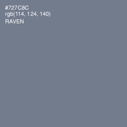 #727C8C - Raven Color Image