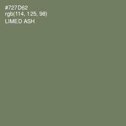#727D62 - Limed Ash Color Image