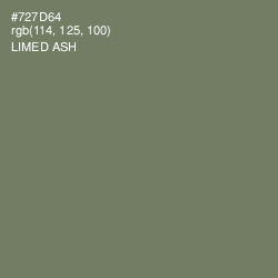 #727D64 - Limed Ash Color Image