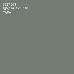 #727D71 - Tapa Color Image