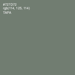 #727D72 - Tapa Color Image
