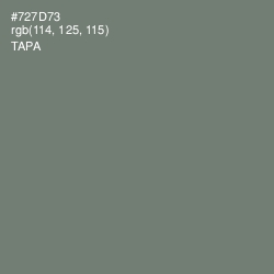 #727D73 - Tapa Color Image