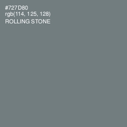 #727D80 - Rolling Stone Color Image