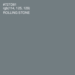 #727D81 - Rolling Stone Color Image