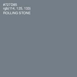 #727D85 - Rolling Stone Color Image