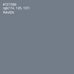 #727D89 - Raven Color Image