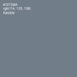 #727D8A - Raven Color Image