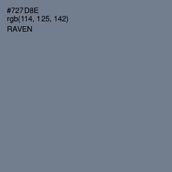 #727D8E - Raven Color Image