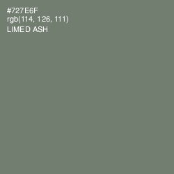 #727E6F - Limed Ash Color Image
