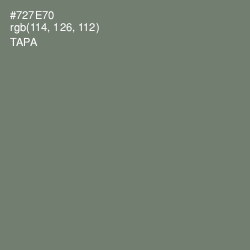#727E70 - Tapa Color Image