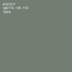 #727E71 - Tapa Color Image