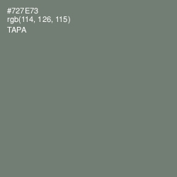 #727E73 - Tapa Color Image