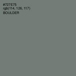 #727E75 - Boulder Color Image