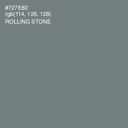 #727E80 - Rolling Stone Color Image