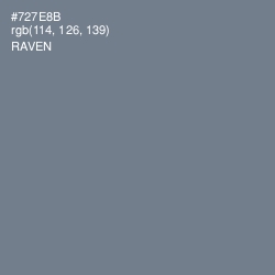 #727E8B - Raven Color Image
