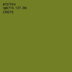 #727F24 - Crete Color Image