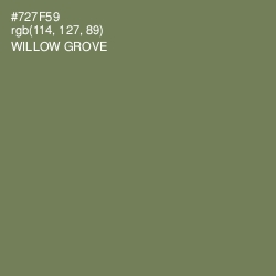 #727F59 - Willow Grove Color Image