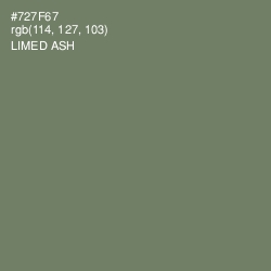 #727F67 - Limed Ash Color Image