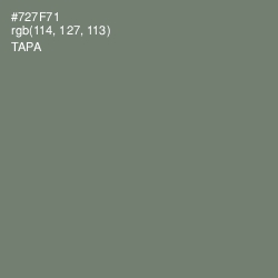 #727F71 - Tapa Color Image