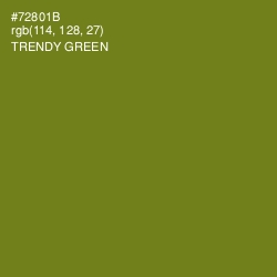 #72801B - Trendy Green Color Image