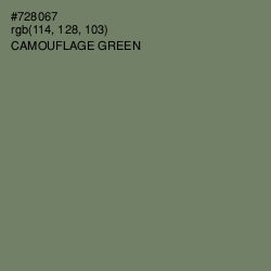 #728067 - Camouflage Green Color Image