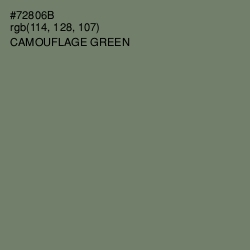 #72806B - Camouflage Green Color Image