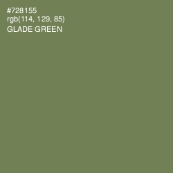 #728155 - Glade Green Color Image