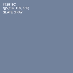 #72819C - Slate Gray Color Image