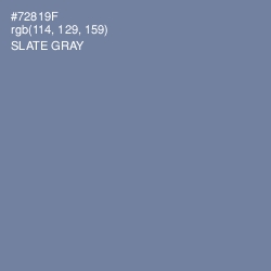 #72819F - Slate Gray Color Image