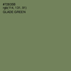 #72835B - Glade Green Color Image