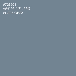 #728391 - Slate Gray Color Image