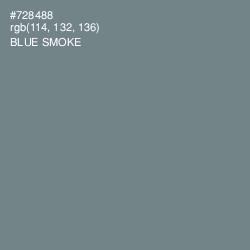 #728488 - Blue Smoke Color Image