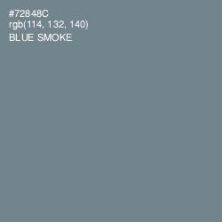 #72848C - Blue Smoke Color Image