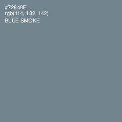 #72848E - Blue Smoke Color Image