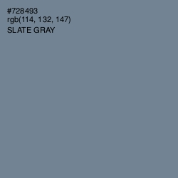 #728493 - Slate Gray Color Image