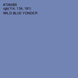 #7286B5 - Wild Blue Yonder Color Image