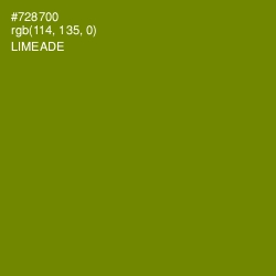 #728700 - Limeade Color Image
