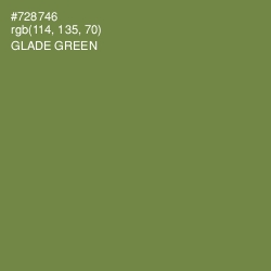 #728746 - Glade Green Color Image