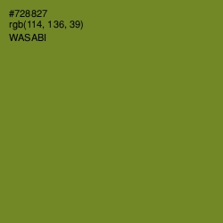 #728827 - Wasabi Color Image