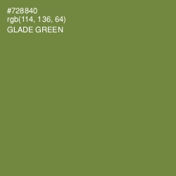 #728840 - Glade Green Color Image