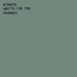 #72887E - Xanadu Color Image